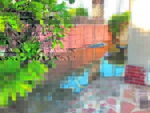 Panorama resident fed-up with overflowing sewer