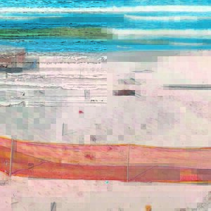 Tired seals wash up on Blouberg beach