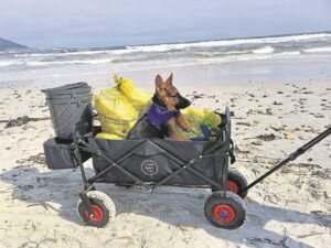 Spike in litter on beaches, Milnerton Lagoon beach problems persist