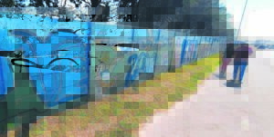 Beautifying Ward 113