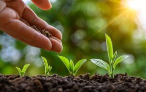 Stodels Bellville is the best nursery in the country