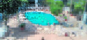 Sanccob kicks off 2025 with urgent penguin rescue