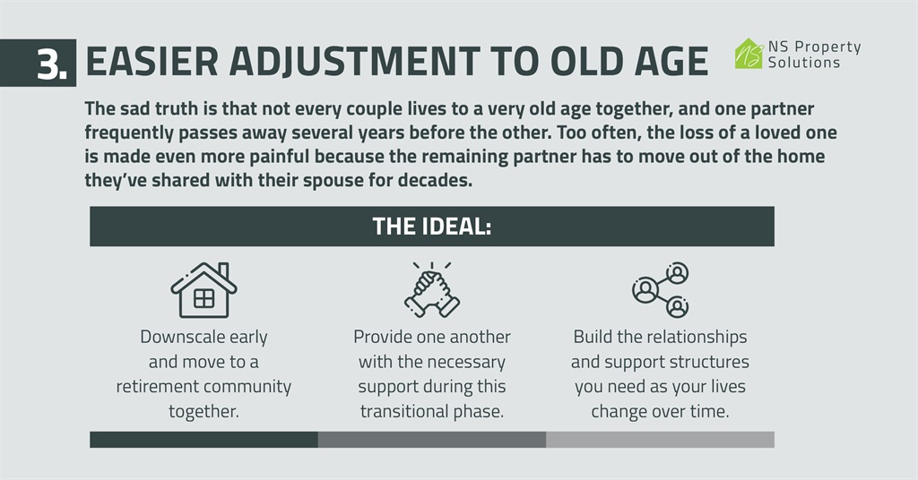 NS Property Solutions infographic.
