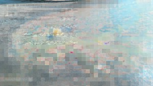 ‘Our streets look like a toilet’: Sewerage causing a stink in Electric City, Eerste River