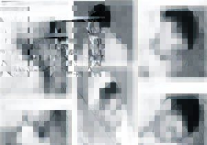 Search is on for animal abuser