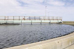 Potsdam maturation ponds cleaned until June