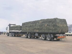 SA Water Warriors reik uit na Garies