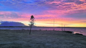 Rietvlei woes continue: Water sport athletes demand City fix ‘mess’