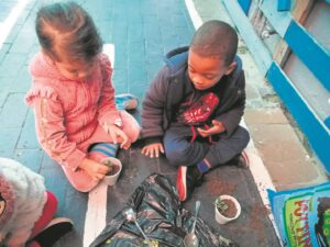 Kleintjies plant spekbome vir senior inwoners