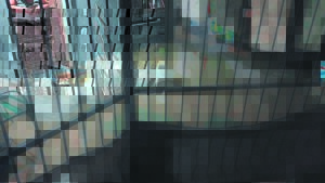 Belrail stink in feestyd