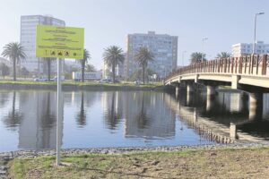 Rethinking the stink: Strategies suggested to fix ‘disaster’ at Milnerton Lagoon