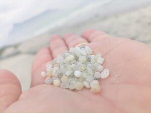 Join the nurdle hunt Save a Fishie