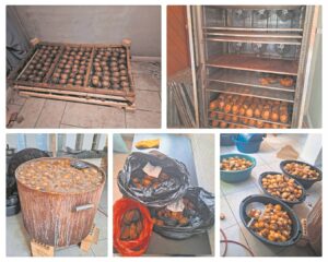Illegal abalone worth R700 000 seized in Parklands residence