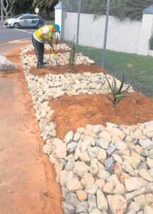 Klippe, bome die oplossing vir straatmensprobleem in Durbanville