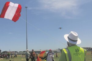 Kinders vermaak by vlieërfees