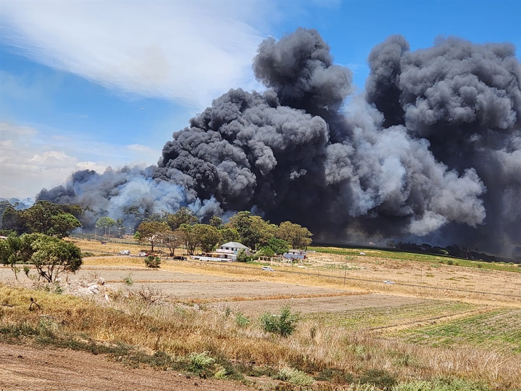 Flames fanned by the wind were raging through vege