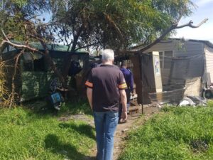 Stray dogs, illegal breeding, and drugs at Fort Ikapa informal settlement investigated