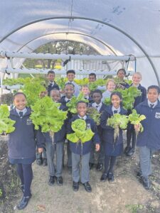 Vredekloof Primary School’s vegetable garden flourishes