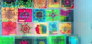 Rouxville Primary serious about being ‘green’