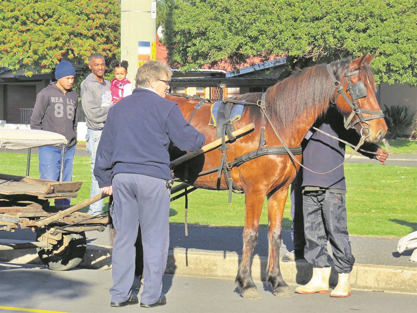 Cart Horse Protection Association hosts orientation class