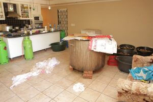 Abalone bust in Milnerton