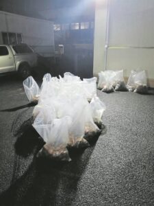 Man found with abalone worth millions  in Bellville to appear in court in September