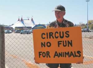 Controversial circus draws crowds despite animal rights protests at Fairbridge Mall in Brackenfell