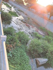 Canals with high risk of flooding in Goodwood yet to be cleaned