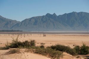 Dam levels now critical