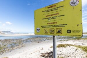 Solutions for polluted Milnerton Lagoon unpacked by City at report-back meeting