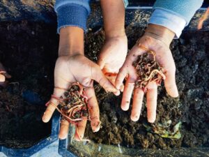 Rouxville Primary learners learn sustainability through hands-on gardening