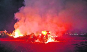Oorgroeide grond in Kuilsrivier brand