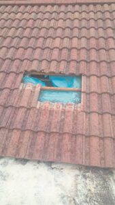 Diewe klim nou deur dakke