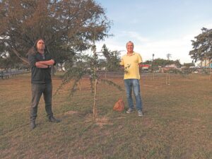 Monte Vista welcomes visitors with flourishing memorial forest of 50+ trees