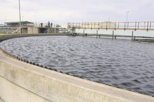 Remedial work at Potsdam ‘ongoing’ as short-term interventions aim to address lagoon’s stench