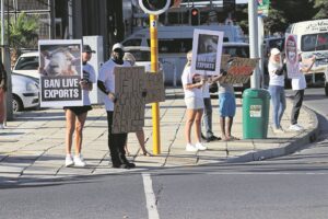 Animal activists call for a ban on live exports