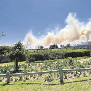 Milnerton firefighters battle blaze on R27
