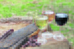 A sea of purple, white at Pinotage and Biltong Fest