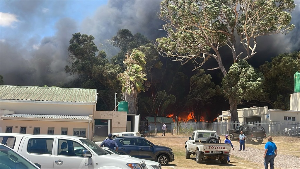Flames fanned by the wind were raging through vege