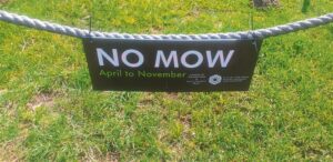 ‘No mow’-borde is onwettig verwyder