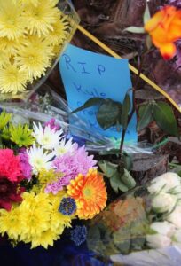 Learner dies after fall from ceiling