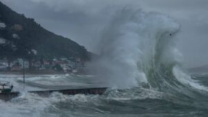 Tragedy at Big Bay beach: Lifeguards and surfers’ heroic rescue attempt ends in heartbreak