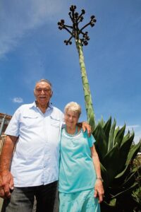 Rare plant laat mense gons