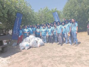 Staff get down and dirty to clean wetlands which surround GrandWest