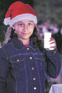 Light in the darkness: Zevenwacht Wine Estate hosts hospice’s annual ‘Tree of Light’ event for the first time