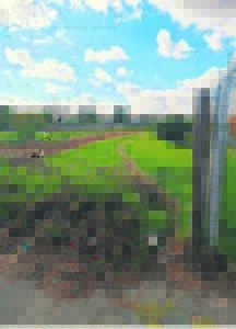 Gat in die skool se heining is gevaarlik