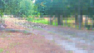 Liggaam gevind in Drostdypark