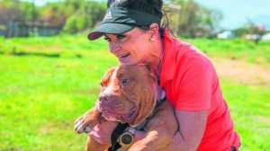 Raising funds for furry ‘pits’