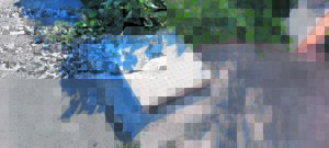 Inwoner van Ernest Park kla oor gebrek aan dienslewering