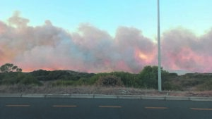 Firefighters’ swift response controls field fire